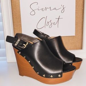 Circus Wedges